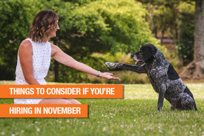 Thinking of recruiting in Nove