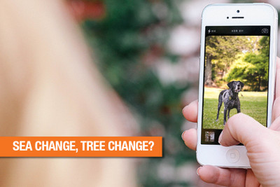 Sea change, tree change?